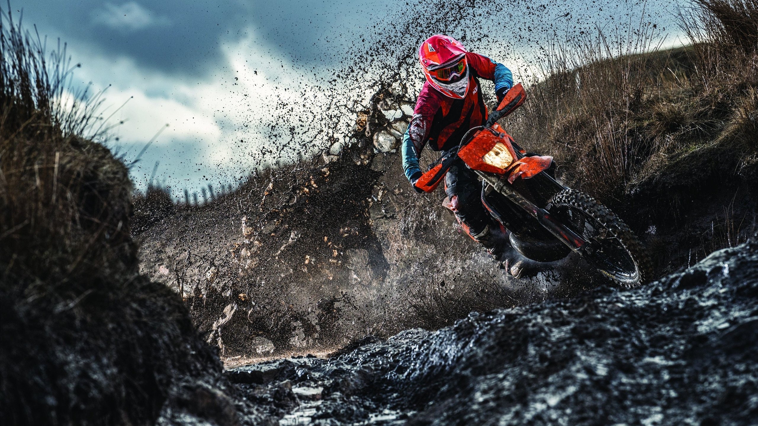 陈佳一触即发力压佩拉卡尼